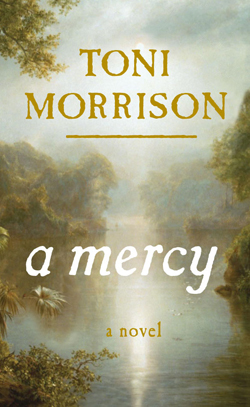 A Mercy Book Jacket